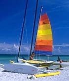 Wind sports