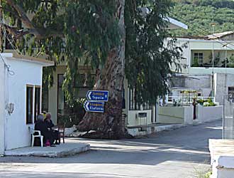 Drapanias