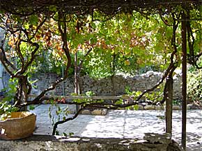 The beautiful shaded patio