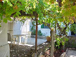 A lemon tree, two grape vines and masses of flowers and creeping vines throw shade over the sitting areas